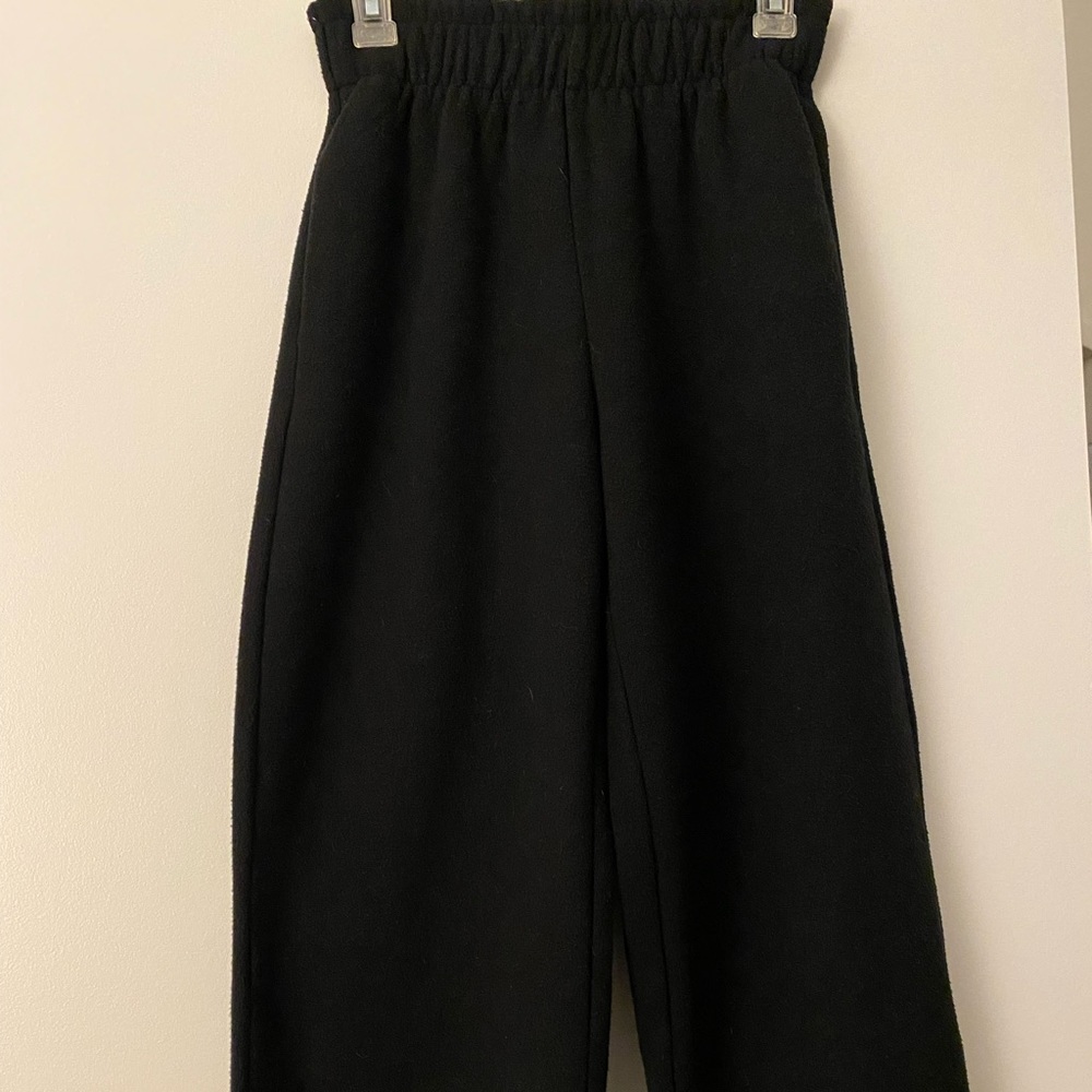 Aritzia Babaton High Rise Wool Pant